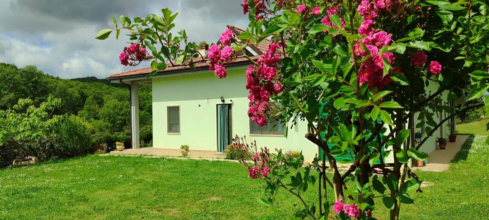 Apartament Pia'S House Garden Campobasso Zewnętrze zdjęcie